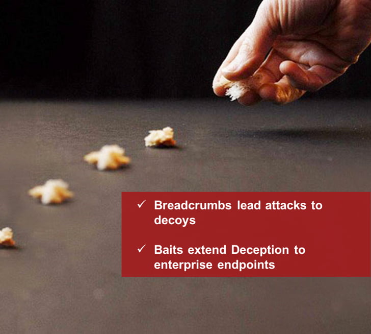 Breadcrumbs and baits for cyber deception