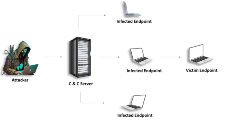 Botnet